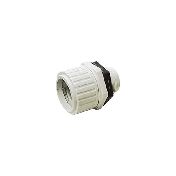CBGSCC20L