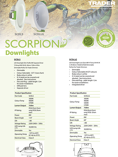 Downlight Flyer