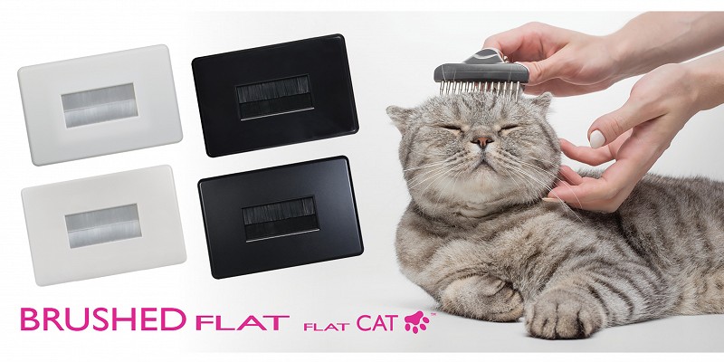 We have now added slim brush plates to our Flat Cat range.