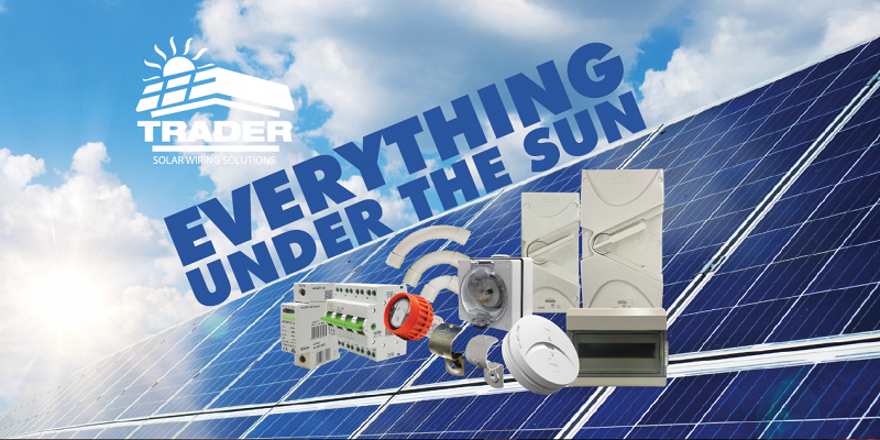 Everything Under The Sun