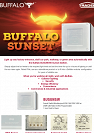 Buffalo Sunset Flyer