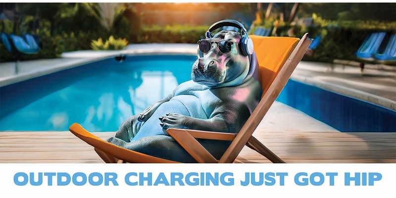 NEW Hippo Dual USB Type A&C Charger