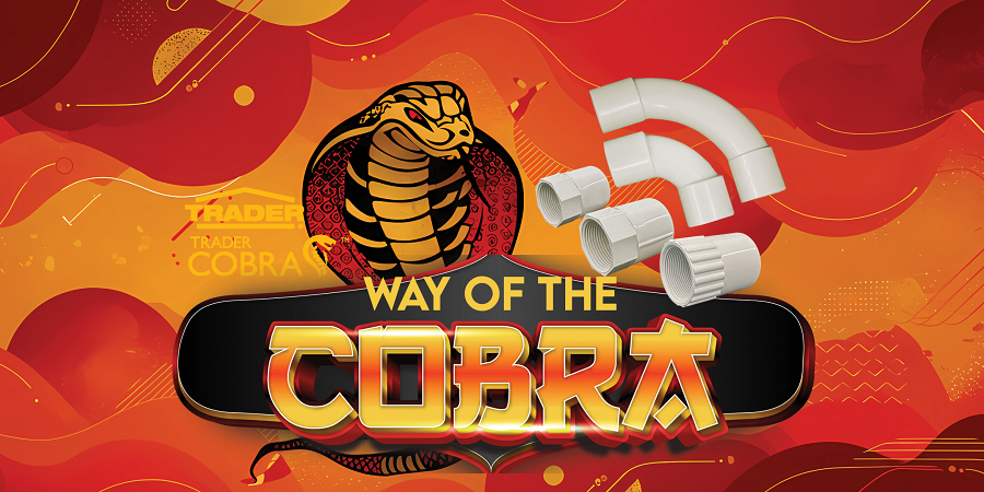 WAY OF THE COBRA
