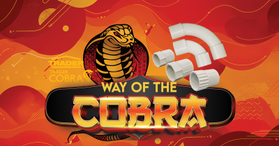 WAY OF THE COBRA