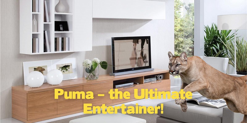 Puma – the Ultimate Entertainer!