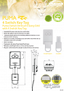 Switch Key Tag Flyer